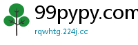 99pypy.com